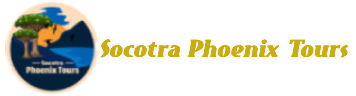 Socotra Phoenix Tours