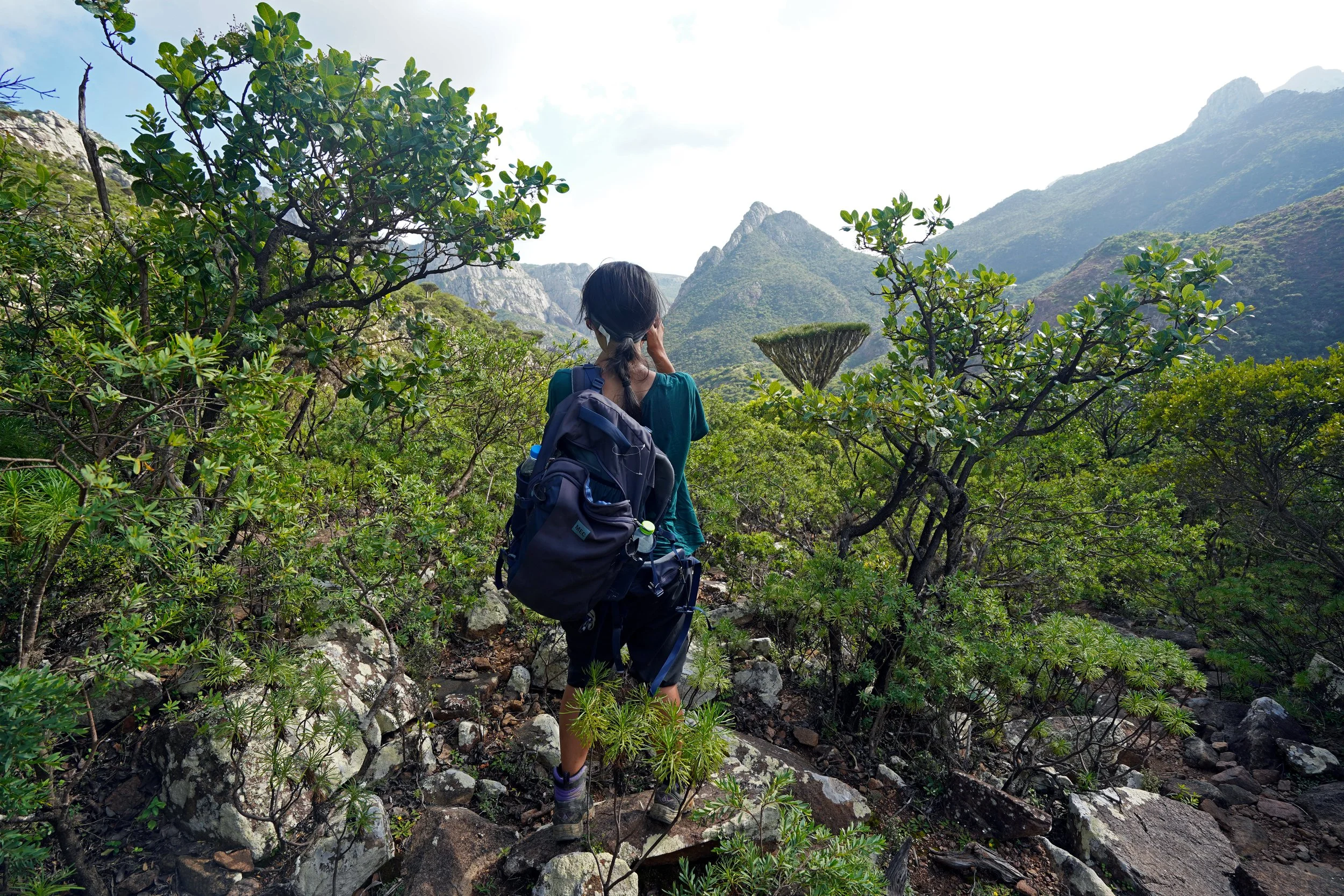 Trekking to Hajhir Mountain In Socotra