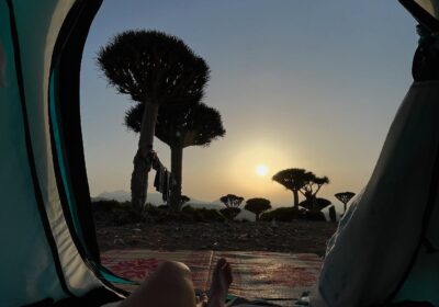 Camping In Socotra