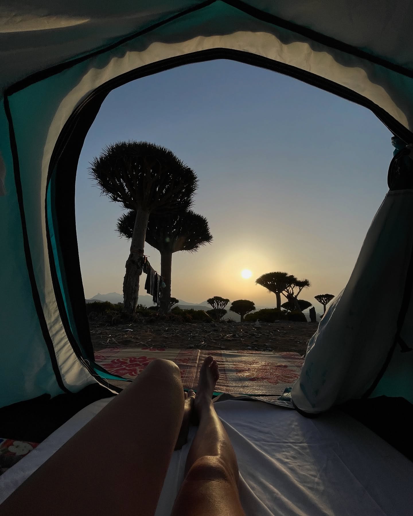Camping In Socotra
